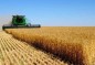 وزیر جهاد کشاورزی: کشور از واردات گندم برای تولید نان بی نیاز شد
